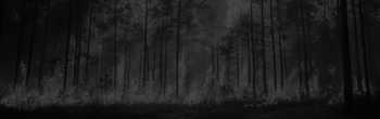 Why Wildfire Risk Is Growing: Costs, Trends & WUI Expansion Why Wildfire Risk Is Growing: Costs, Trends & WUI Expansion