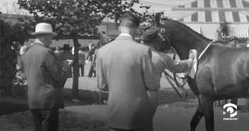 A black and white photo shows a man wiping down a horse at a racetrack as two Pinkerton agents take notes.