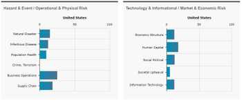 Bar graphs showing risk in the United States for Hazard & Event/Operational & Physical Risk, and Technology & Informational/Market & Economic Risk. On the same 0 to 100 scale, all factors appear to be under 25.