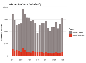 wildfires by cause wildfires by cause