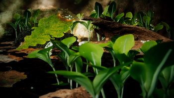 jungle floor with a leaf that has started to catch fire